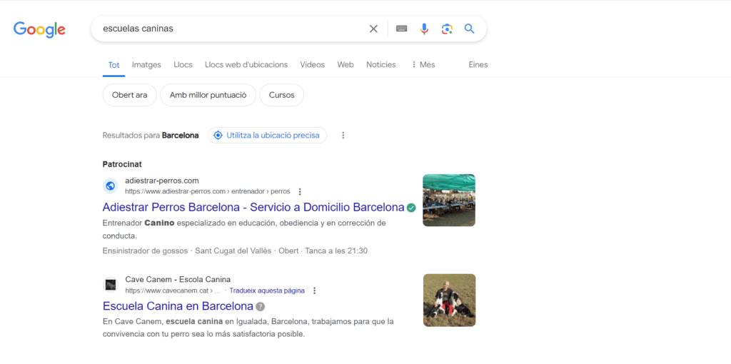 SEO escuelas caninas