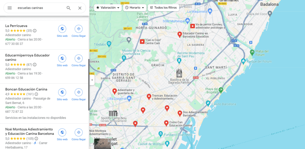 SEO Local escuelas caninas