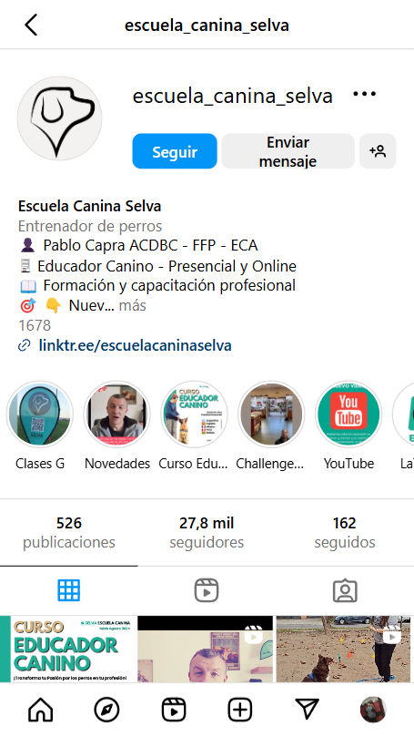 Gestión de redes sociales para escuelas caninas