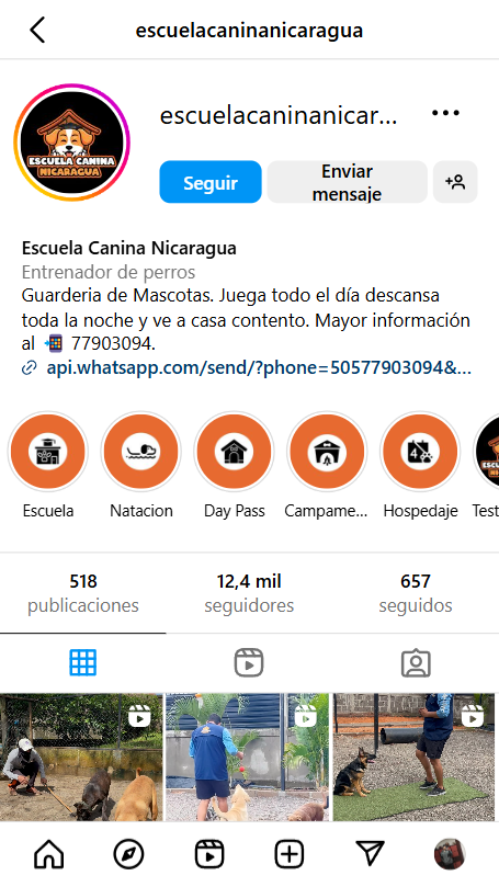 Gestión de redes sociales para escuelas caninas