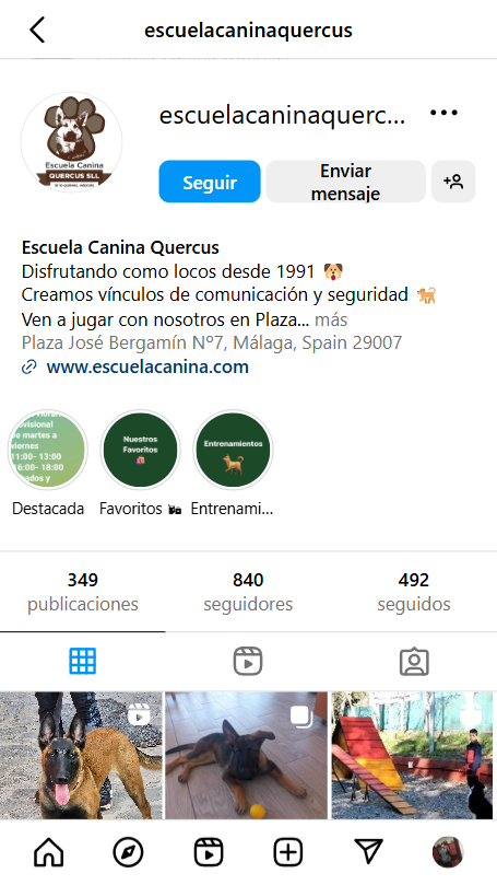 Gestión de redes sociales para escuelas caninas