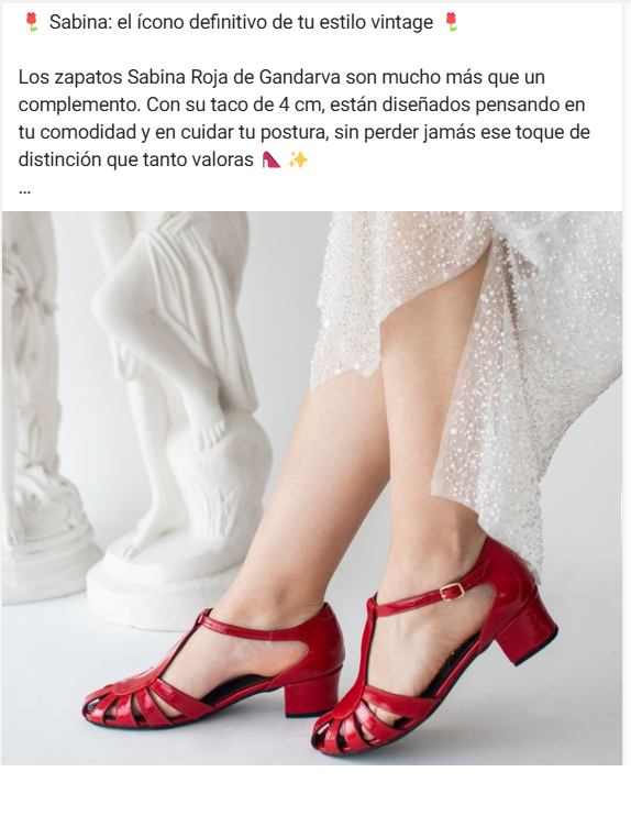 Social Ads para tiendas de zapatos de vestir para mujer