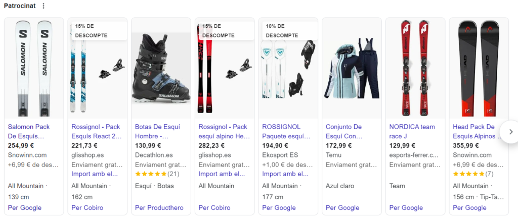 Google Ads para ecommerce de esquí