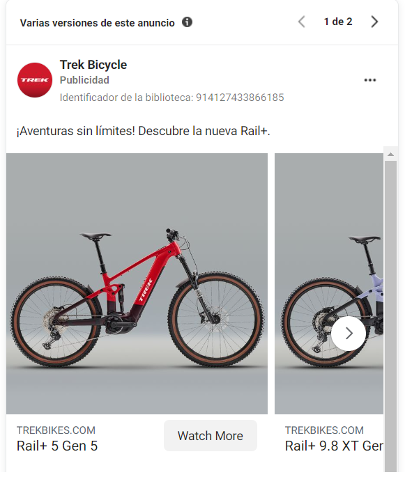 Social Ads para ecommerce de bicicletas de lujo personalizadas