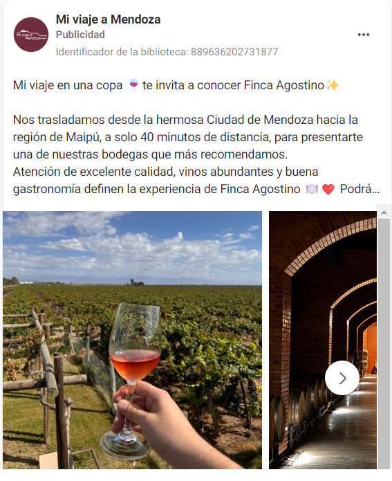 Social Ads para ecommerce de vinos y licores