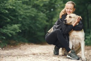 marketing digital de ecommerce para perros