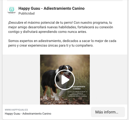 Social Ads para Escuelas Caninas
