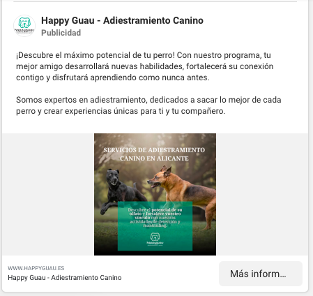 Social Ads para Escuelas Caninas