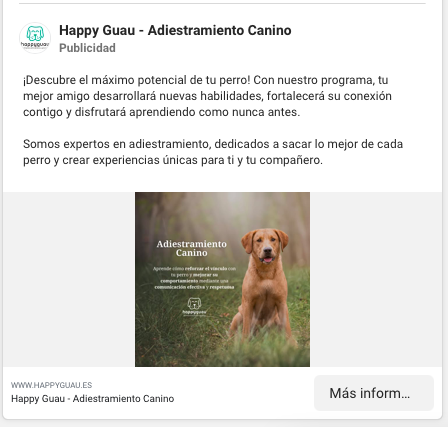 Social Ads para Escuelas Caninas