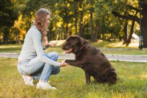 marketing digital para educación canina